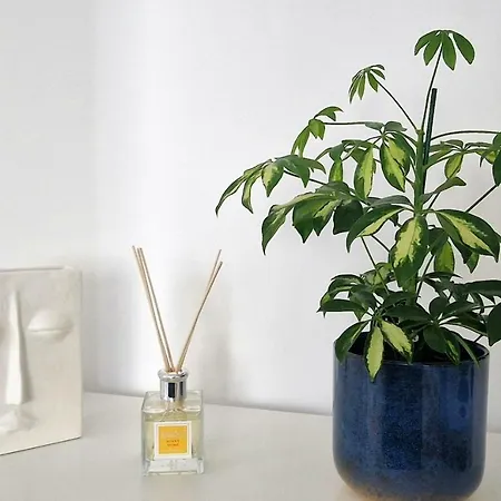 Apartament Brb Park *